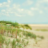 Sand Dunes Fine Art Print