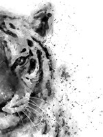 Tiger At Attention Fine Art Print