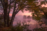 Framed Fine Art Print