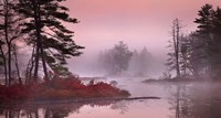Pink Fog Fine Art Print