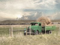 Hay for Sale Fine Art Print