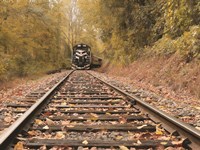Great Smoky Mountains Railroad Fine Art Print