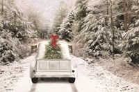 Picking Up the Tree Fine Art Print