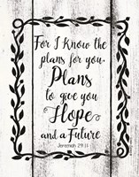 Plans to Give You Hope Fine Art Print