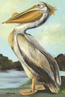 The Grand Pelican Fine Art Print