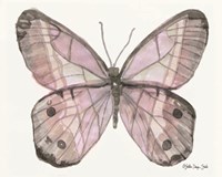 Butterfly 5 Framed Print