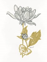 Countryside Bloom 4 Framed Print