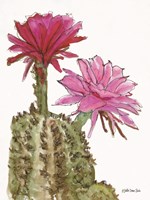 Cactus Flower 2 Fine Art Print