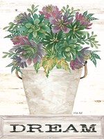 Dream Succulents Framed Print