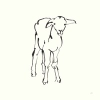 Line Lamb Fine Art Print