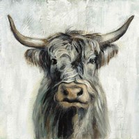 Highland Cow Fine Art Print