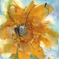 Amber Gold II Fine Art Print