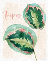 From the Jungle XI Framed Print