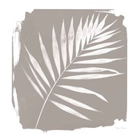 Nature By The Lake - Frond II Sq Fine Art Print