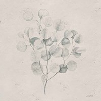 Soft Summer Sketches II Sq Fine Art Print