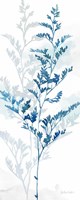Indigo Botanical panel III Fine Art Print