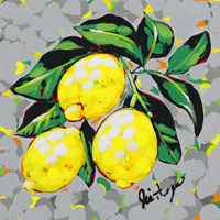 Fruit Sketch Lemons Fine Art Print