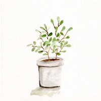 Potted Botanicals I Fine Art Print