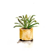 Potted Botanicals II Fine Art Print