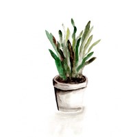 Potted Botanicals III Fine Art Print
