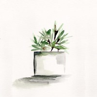 Potted Botanicals IV Fine Art Print