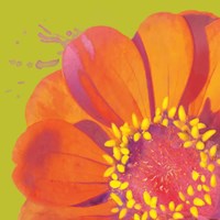 Flower Pop I Fine Art Print