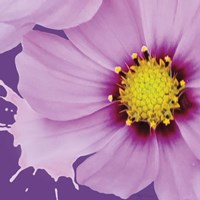 Flower Pop III Fine Art Print