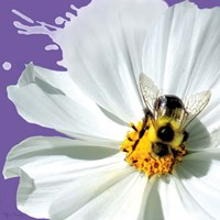 Flower Pop IV Fine Art Print