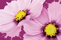 Flower Pop landscape II Fine Art Print