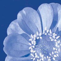 Flower Pop blue I Fine Art Print