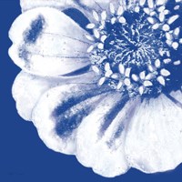 Flower Pop blue II Fine Art Print