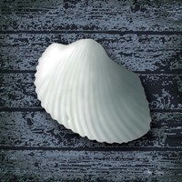 Seashore Shells Navy I Fine Art Print