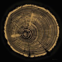 Tree Trunk I Fine Art Print