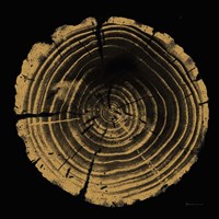 Tree Trunk II Fine Art Print