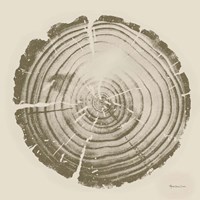 Tree Trunk cream II Fine Art Print