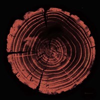 Tree Trunk peach on black Fine Art Print