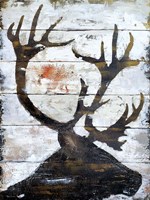 Wild Caribou portrait Fine Art Print