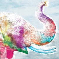 Colorful Elephant Fine Art Print