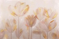 Contemporary Poppies Neutral Fine Art Print