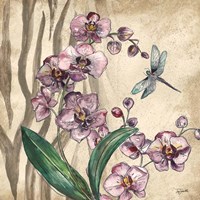 Boho Orchid & Dragonfly I Framed Print