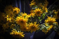 Yellow Flowers Fine Art Print