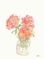 Amy's Roses Fine Art Print