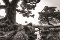 Black & White Fanal Fine Art Print