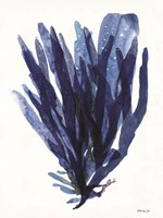 Transparent Indigo Sea Grass II Fine Art Print
