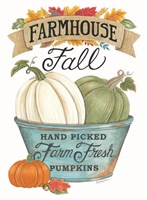 Farmhouse Fall Pumpkins Fine Art Print