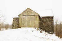 Majestic in the Snow Fine Art Print