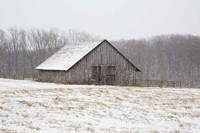 First Snow Fine Art Print