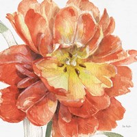 Fall Meadow V Fine Art Print