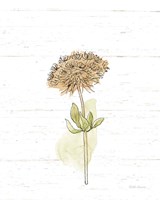 Flowers in Autumn Fine Art Print