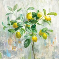 Lemon Branch Fine Art Print